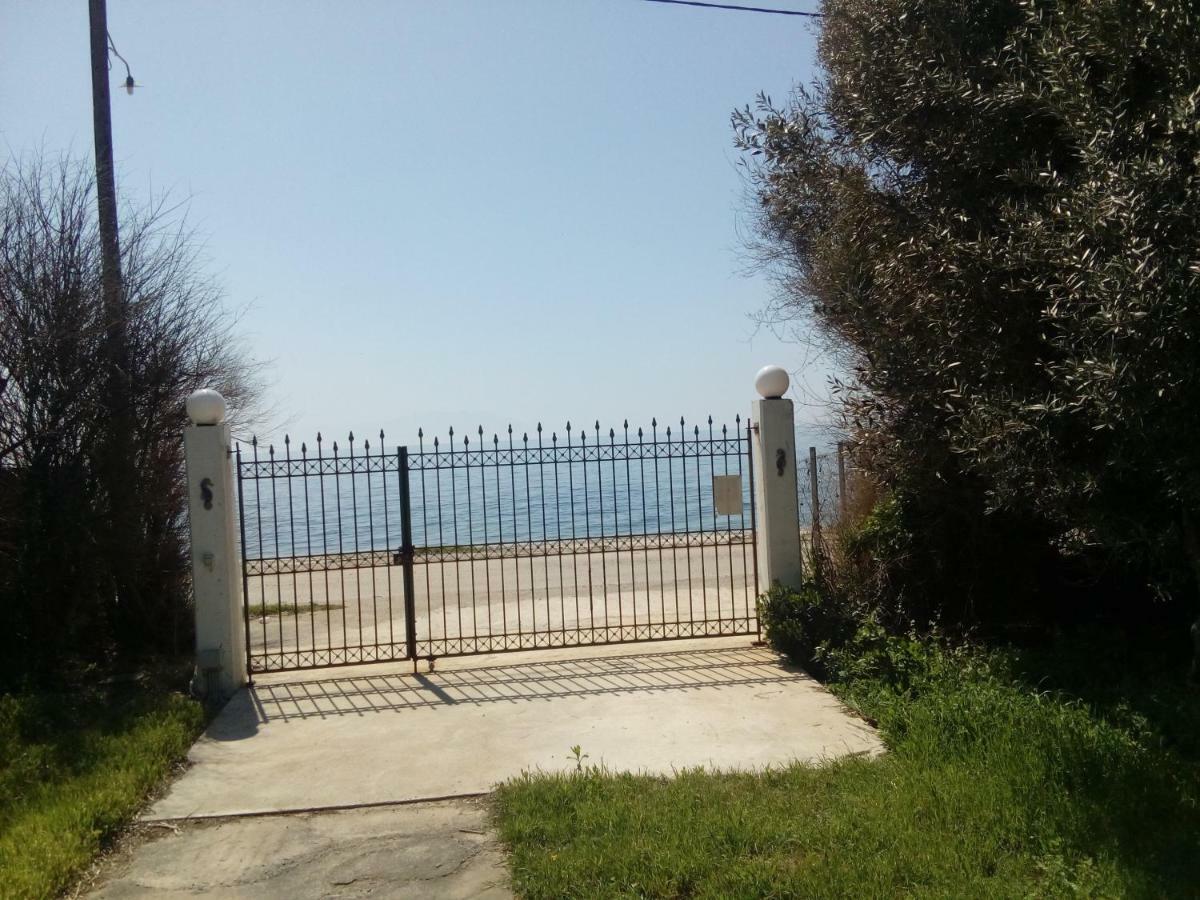 Myconian Summer House 马克里 外观 照片
